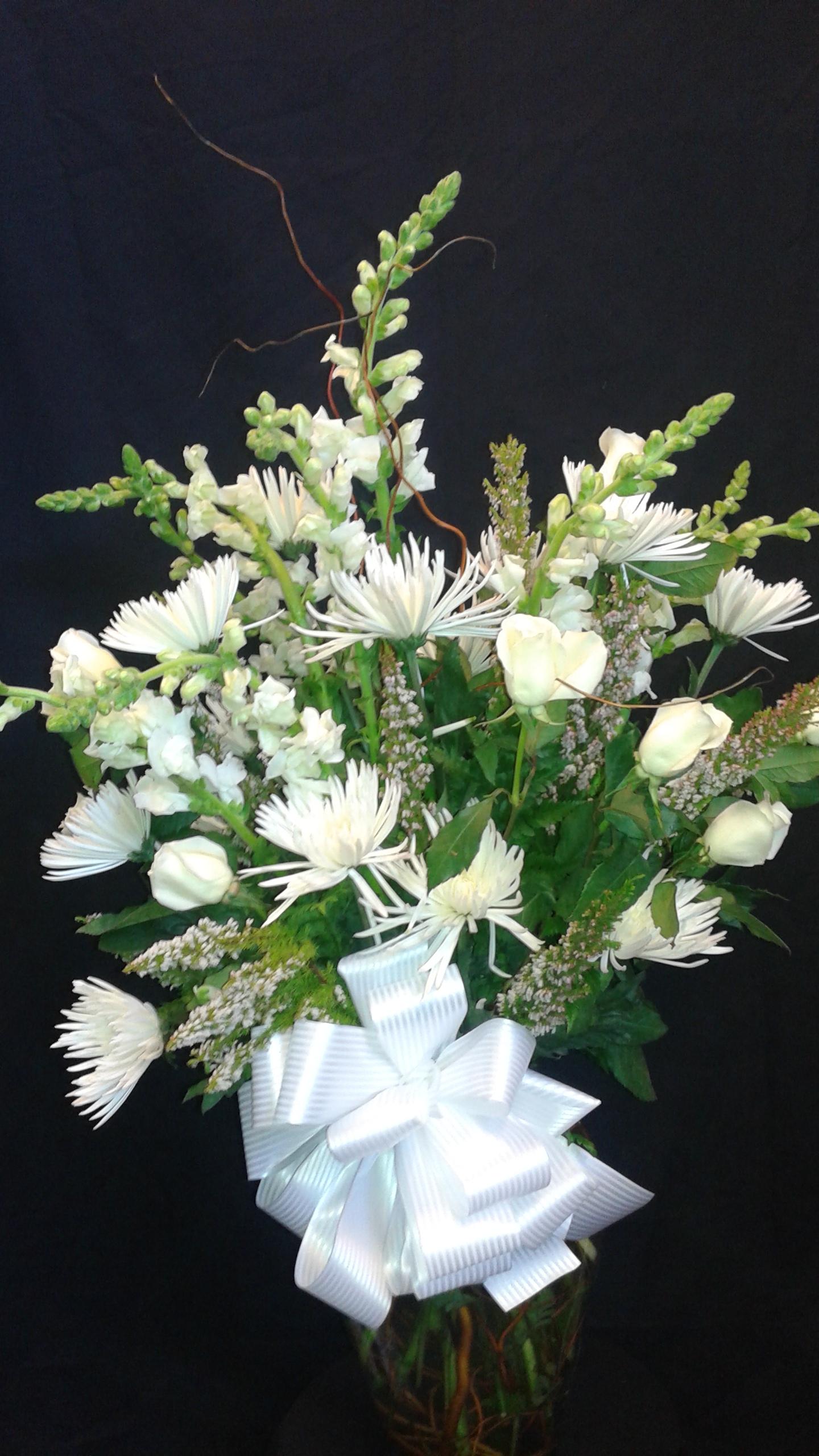 image-497735-White Roses  Spiders.JPG